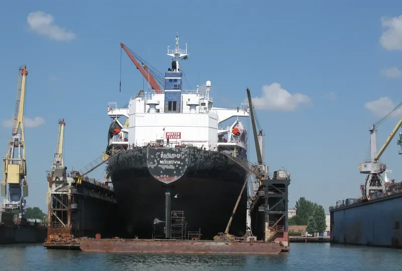 OCEANIC WISDOM Bulk Carrier IMO 9149378 photo 2