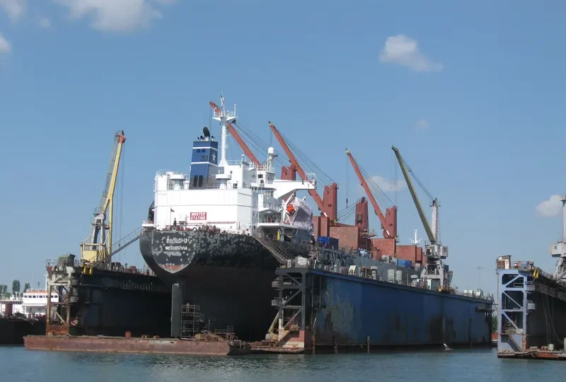 OCEANIC WISDOM Bulk Carrier IMO 9149378 photo 3