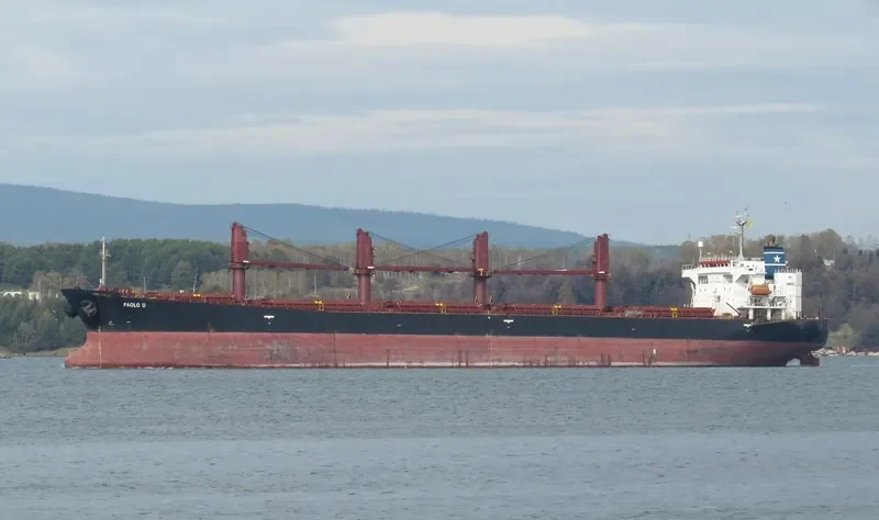 OCEANIC WISDOM Bulk Carrier IMO 9149378 photo 6