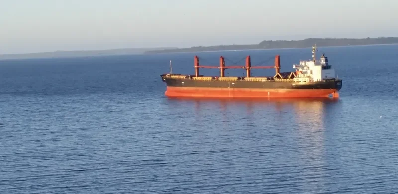 OCEANIC WISDOM Bulk Carrier IMO 9149378 photo 8