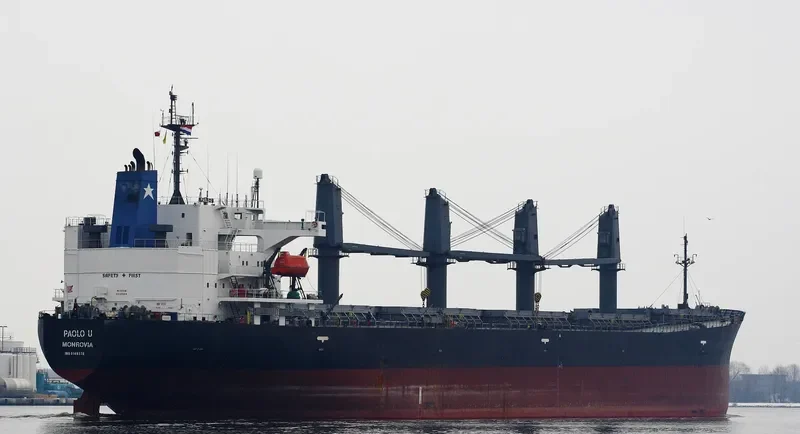 OCEANIC WISDOM Bulk Carrier IMO 9149378 photo 10