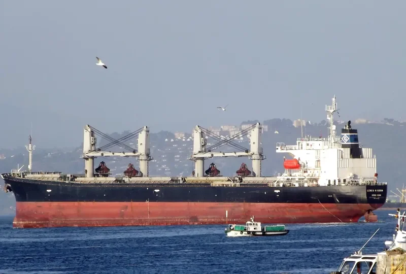 PROSPERITY 101 Bulk Carrier IMO 9149380 photo 5