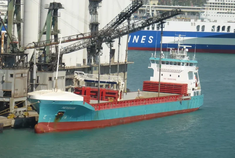 PROSPERITY 101 Bulk Carrier IMO 9149380 photo 9
