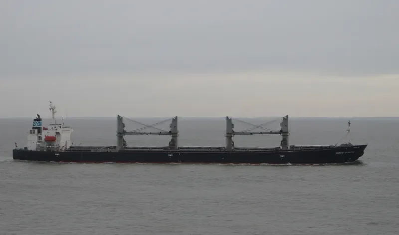 PROSPERITY 103 Bulk Carrier IMO 9149392 photo 5