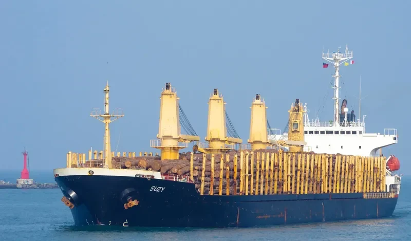 SUZY Bulk Carrier IMO 9149718