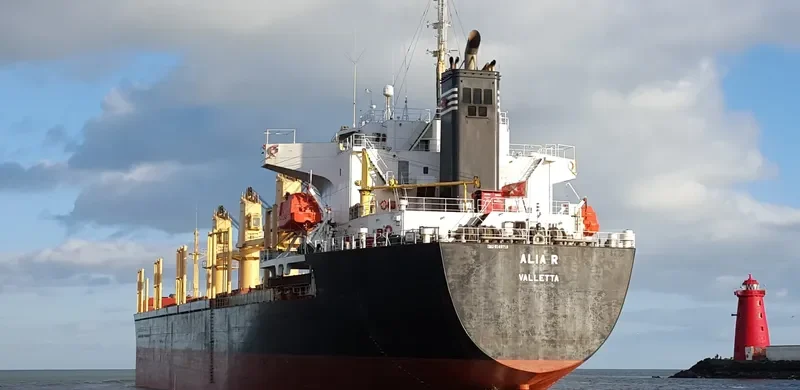 SUZY Bulk Carrier IMO 9149718 photo 3