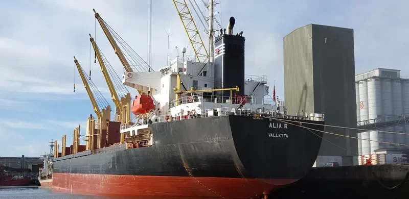SUZY Bulk Carrier IMO 9149718 photo 5