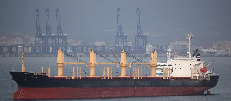 SUZY Bulk Carrier IMO 9149718 photo 7