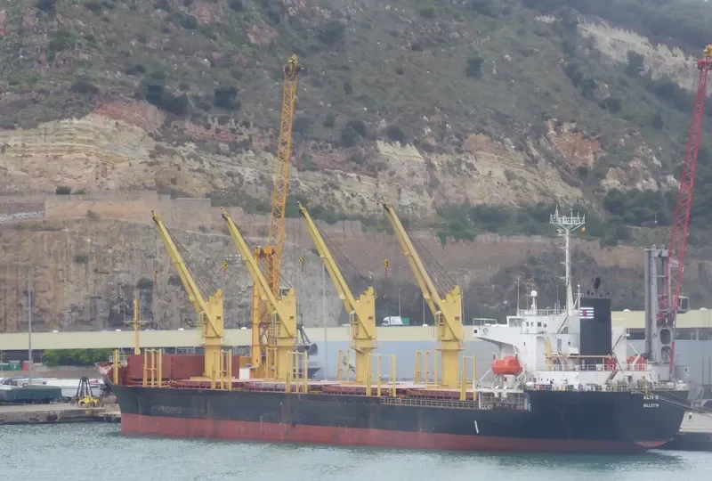 SUZY Bulk Carrier IMO 9149718 photo 8
