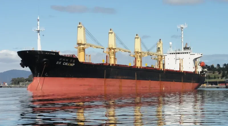 SHENG LE A Bulk Carrier IMO 9149720 photo 6