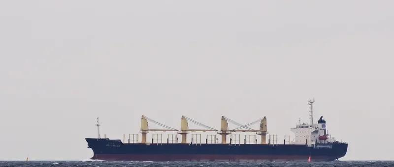 SHENG LE A Bulk Carrier IMO 9149720 photo 7