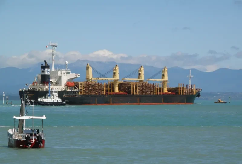 SHENG LE A Bulk Carrier IMO 9149720 photo 10