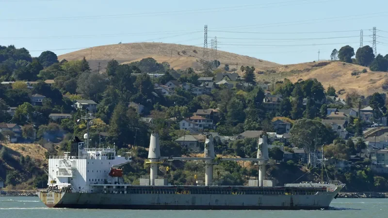 LADY PERLA General Cargo IMO 9149732 photo 6