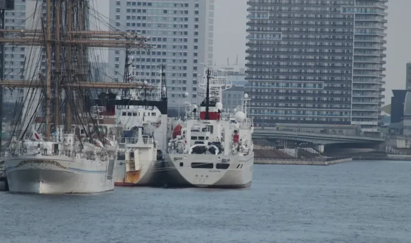 SHOYO MARU General Cargo IMO 9149782 photo 3