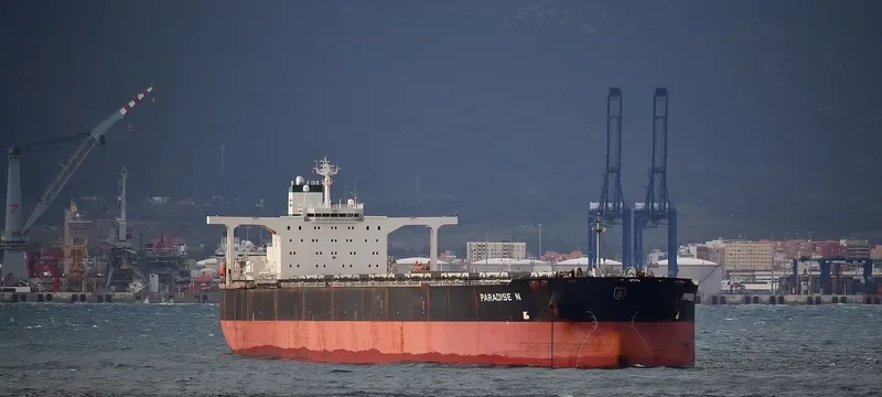 MERCHANT Bulk Carrier IMO 9149794