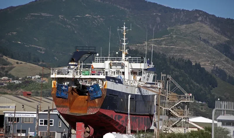 SAN TONGARIRO General Cargo IMO 9149914