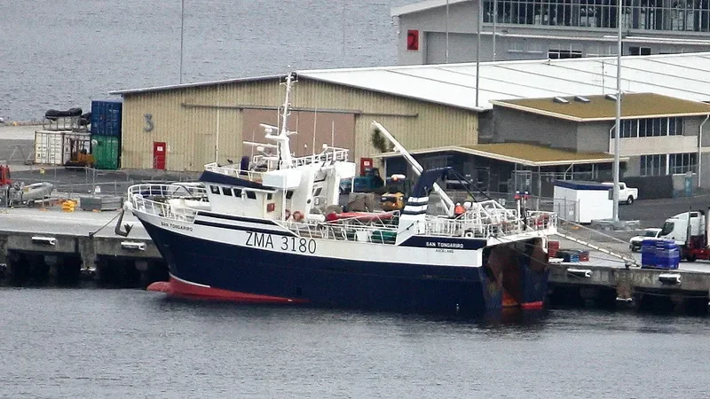 SAN TONGARIRO General Cargo IMO 9149914 photo 8