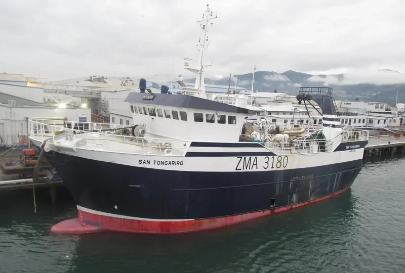 SAN TONGARIRO General Cargo IMO 9149914 photo 9