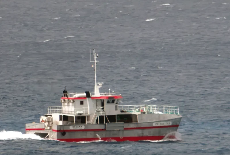 OCEANA General Cargo IMO 9150078