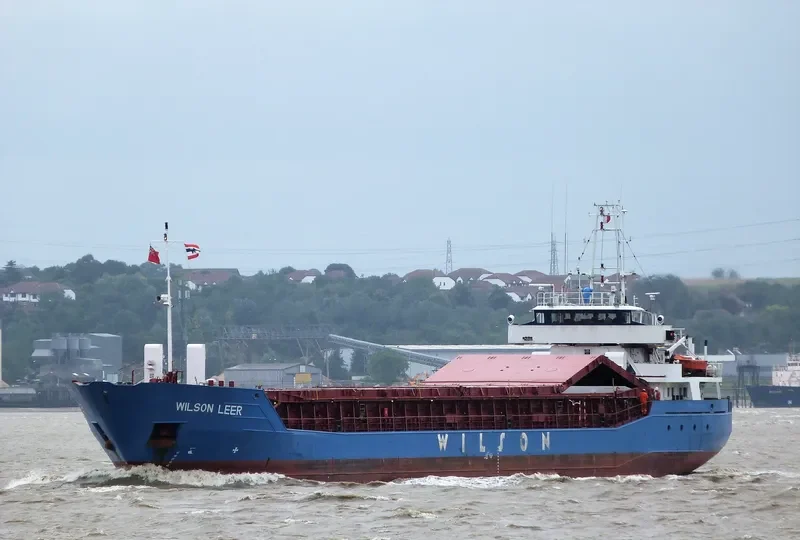 WILSON LEER Container Ship IMO 9150482 photo 3