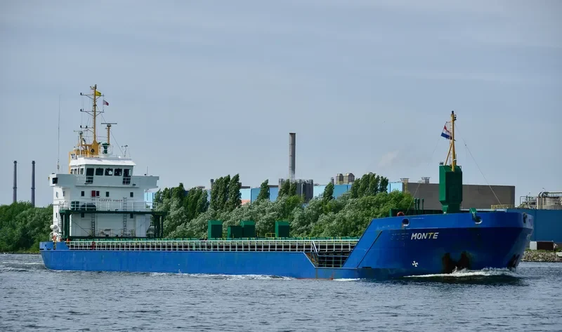 WILSON LEER Container Ship IMO 9150482 photo 6