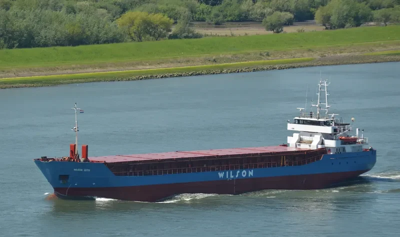WILSON LEITH Container Ship IMO 9150509