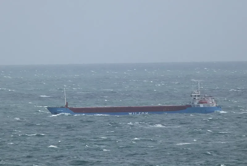WILSON LEITH Container Ship IMO 9150509 photo 2