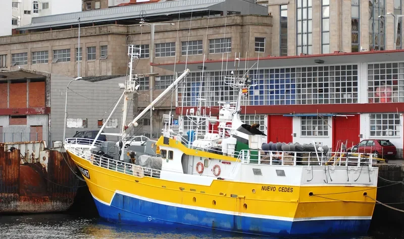 NUEVO CEDES General Cargo IMO 9150597 photo 4