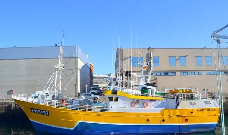 NUEVO CEDES General Cargo IMO 9150597 photo 6