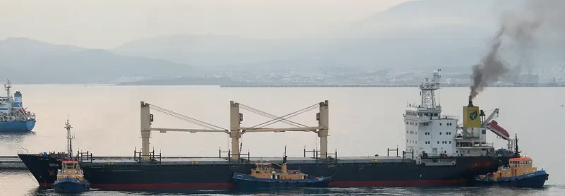 BIRCH 3 General Cargo IMO 9150731 photo 2