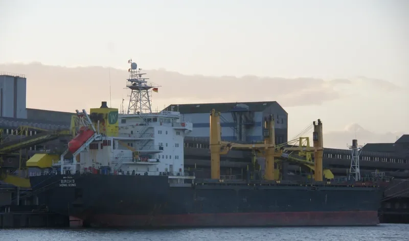 BIRCH 3 General Cargo IMO 9150731 photo 7