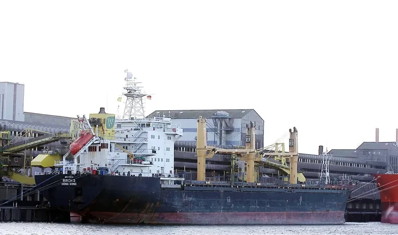 BIRCH 3 General Cargo IMO 9150731 photo 10