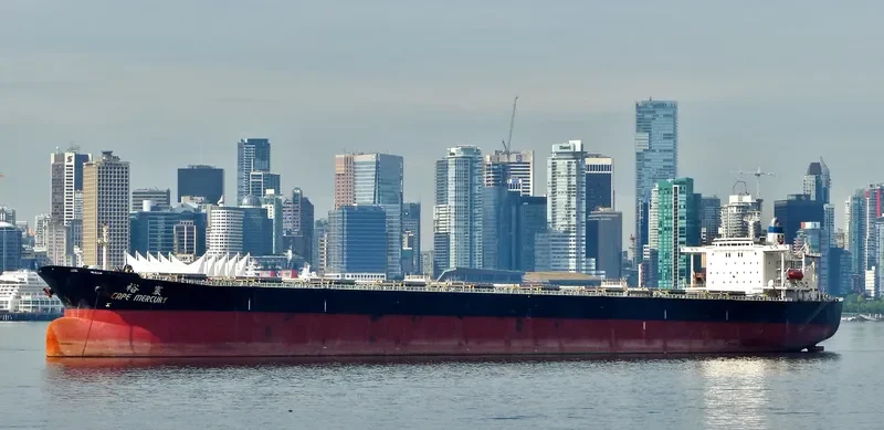 CAPE MERCURY Bulk Carrier IMO 9150755 photo 3