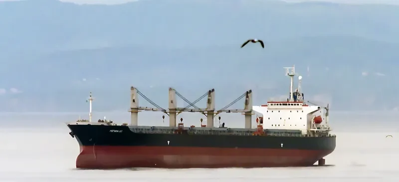 REGION 87 Bulk Carrier IMO 9150808