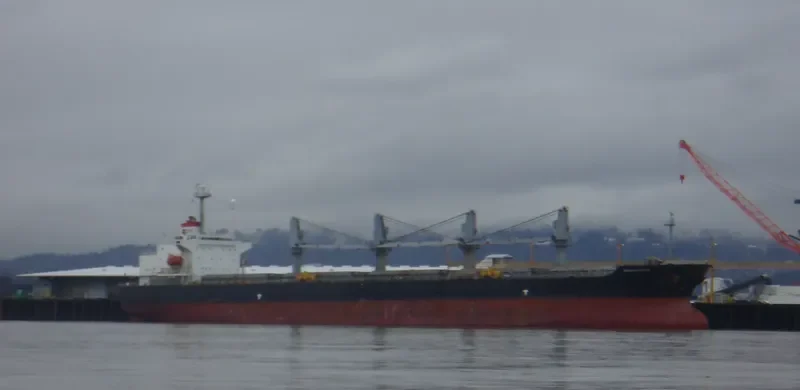 REGION 87 Bulk Carrier IMO 9150808 photo 4