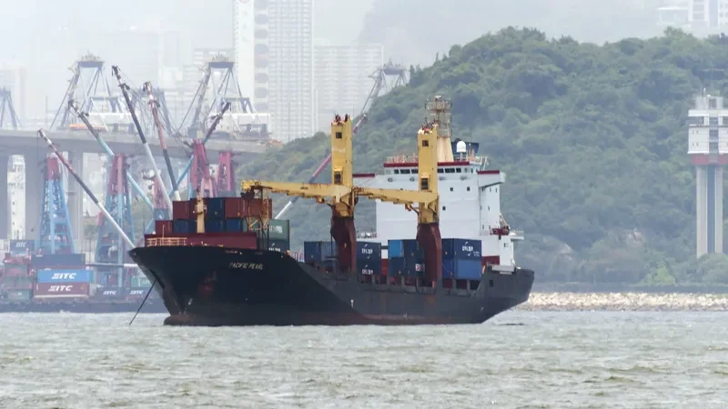 PACIFIC PEARL Container Ship IMO 9150860 photo 2