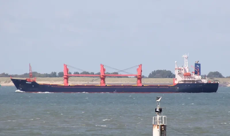 SEBAT Bulk Carrier IMO 9151383 photo 2