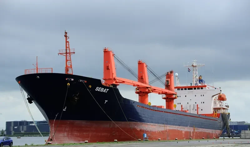 SEBAT Bulk Carrier IMO 9151383 photo 3
