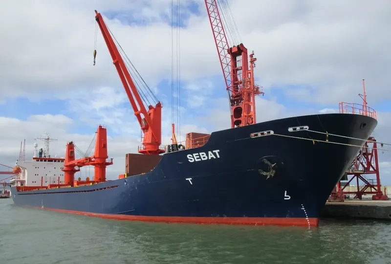 SEBAT Bulk Carrier IMO 9151383 photo 4