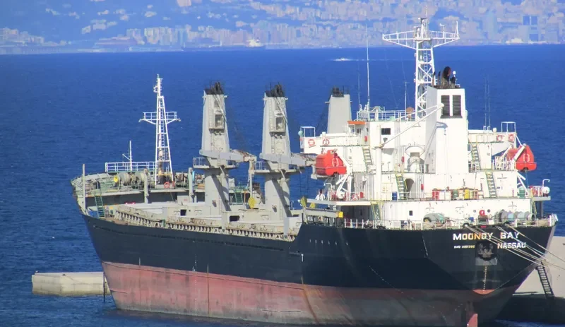 MACHITIS Bulk Carrier IMO 9151395 photo 10