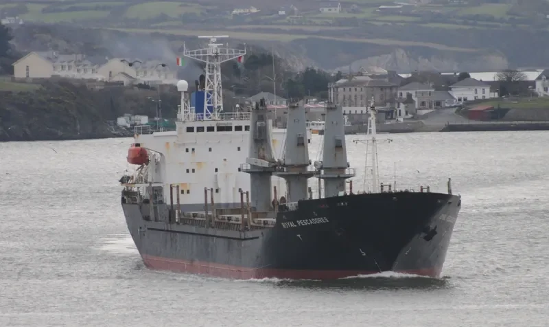 GANOSAYA Bulk Carrier IMO 9151400 photo 6