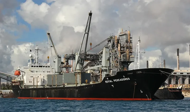 GANOSAYA Bulk Carrier IMO 9151400 photo 9