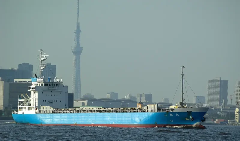 DELTA General Cargo IMO 9151436 photo 2
