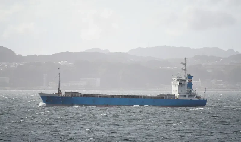DELTA General Cargo IMO 9151436 photo 10