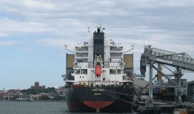 PENGUIN ARROW General Cargo IMO 9151814 photo 3