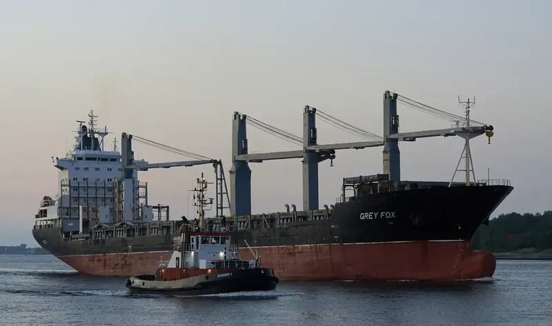 GREY FOX General Cargo IMO 9151905 photo 5