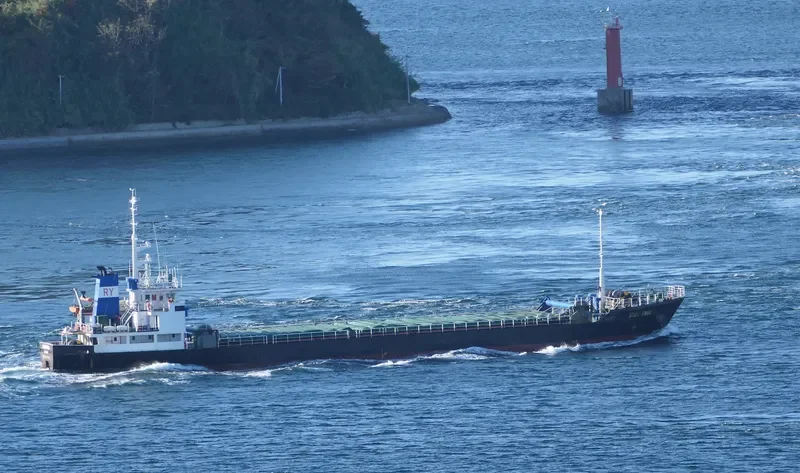 MING PING General Cargo IMO 9152076