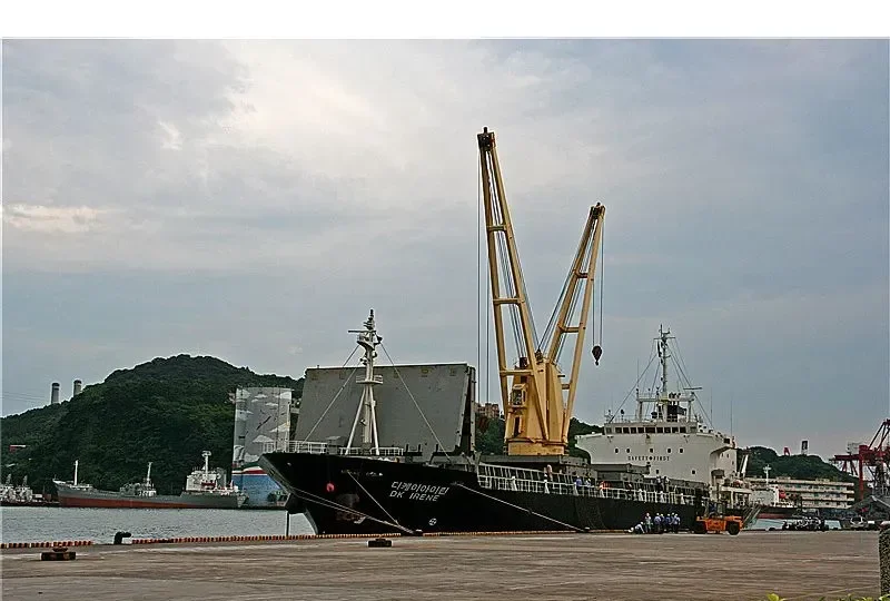 CLARITY 08 General Cargo IMO 9152090 photo 6