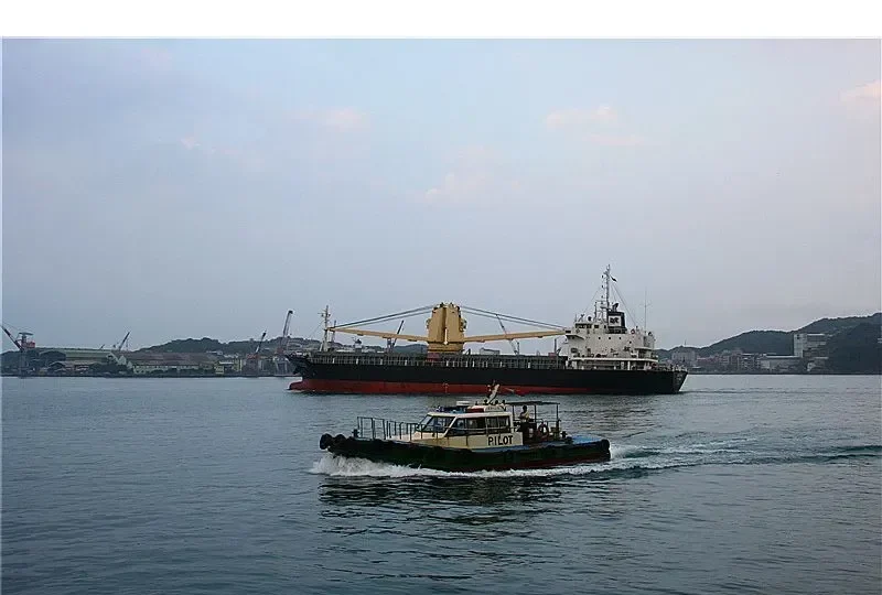 CLARITY 08 General Cargo IMO 9152090 photo 8