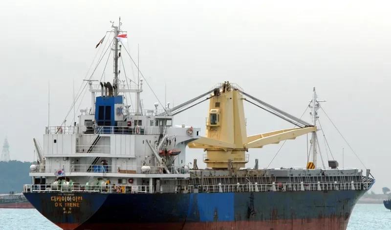 CLARITY 08 General Cargo IMO 9152090 photo 10